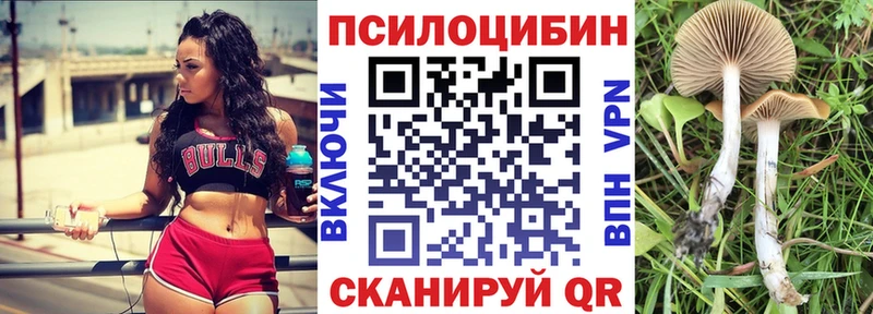 Галлюциногенные грибы Psilocybine cubensis  мега tor  Серпухов 