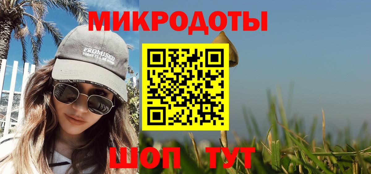 Галлюциногенные грибы Psilocybine cubensis Серпухов