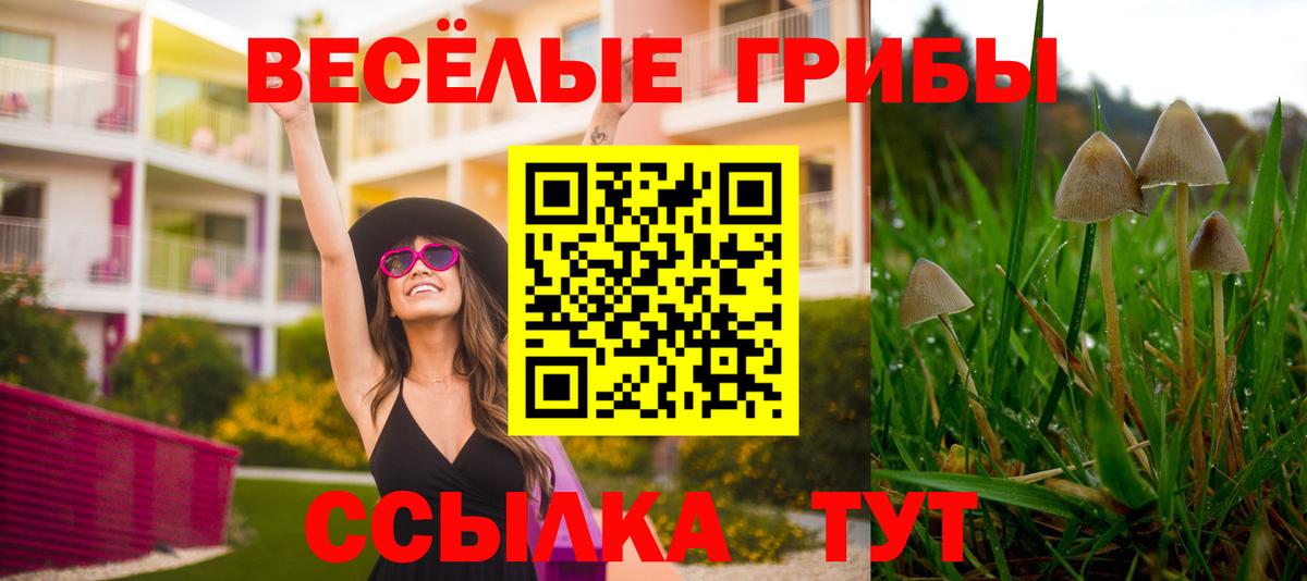 Псилоцибиновые грибы Psilocybine cubensis  Галлюциногенные грибы MAGIC MUSHROOMS  купить  сайты  Вход с VPN  Серпухов 